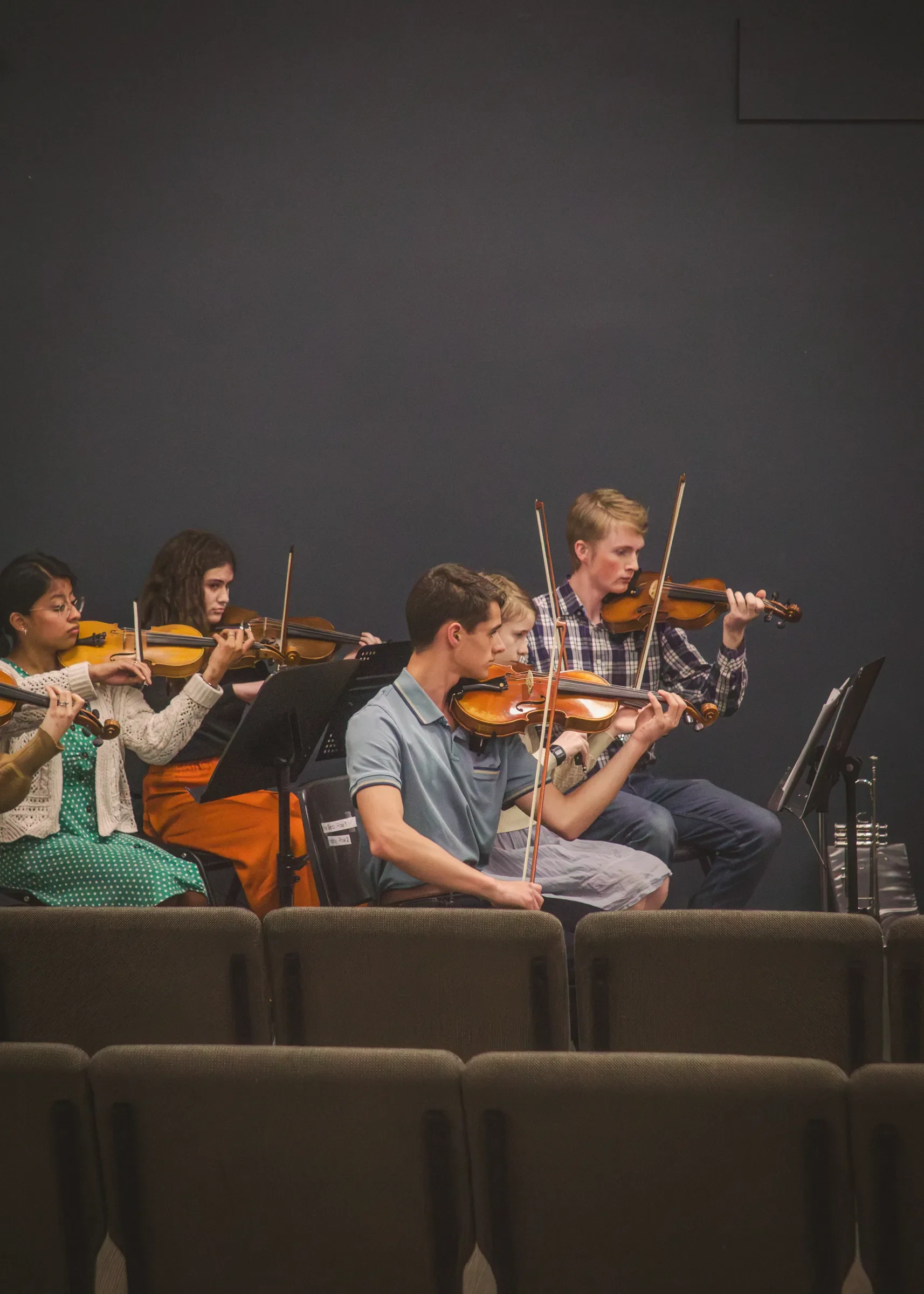 Orchestra violin section performing